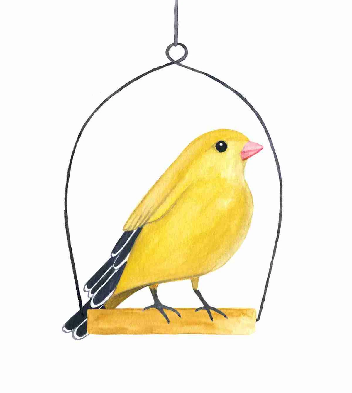 Hey little birdie, illustration for Flow by Valesca van Waveren