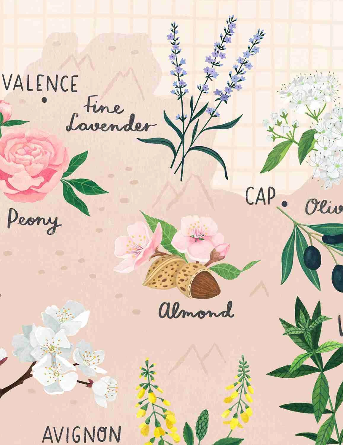 L’Occitane, illustration for L'Occitane and Artbox by Valesca van Waveren